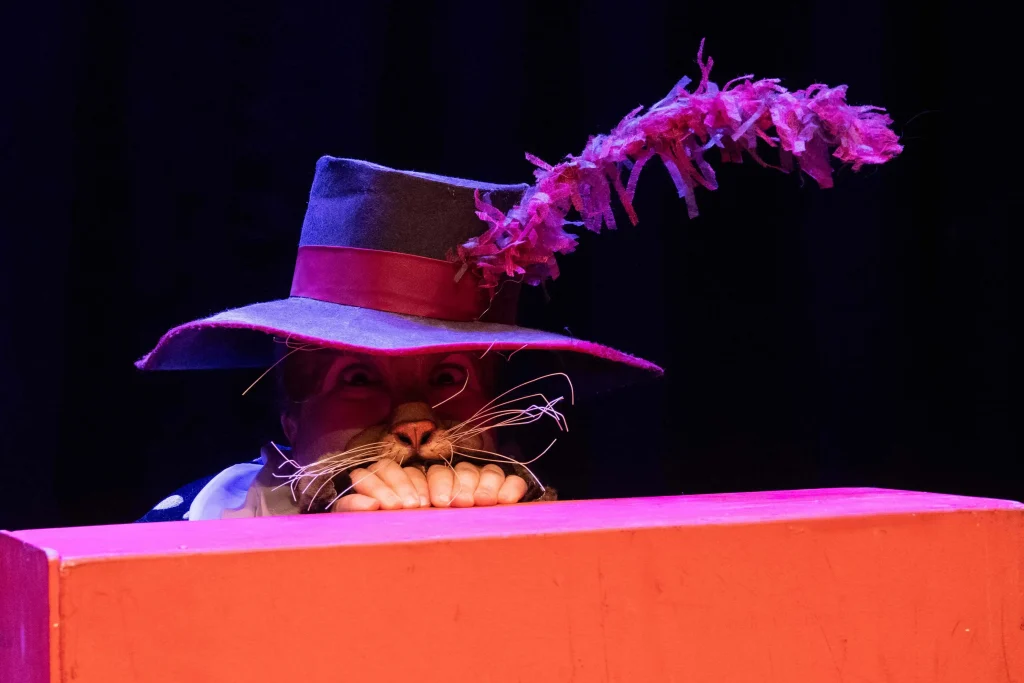 O papoutsomenos gatos 37